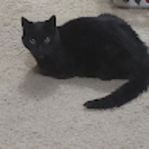 Meet your Posher, Ken